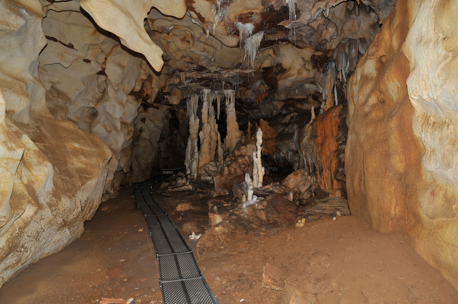 La galerie du Cactus, depuis le fond