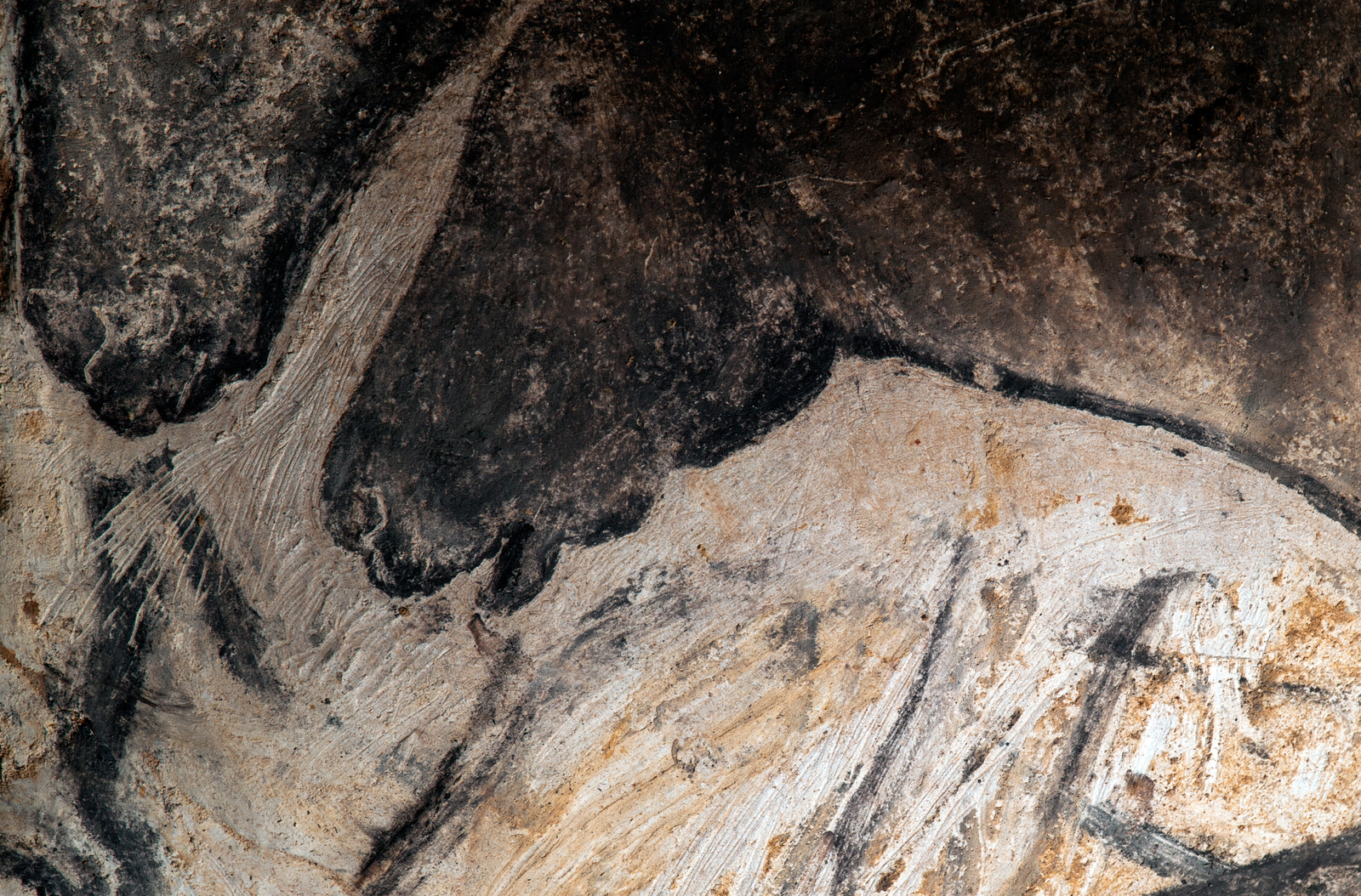 Détail de la bouche d’un cheval