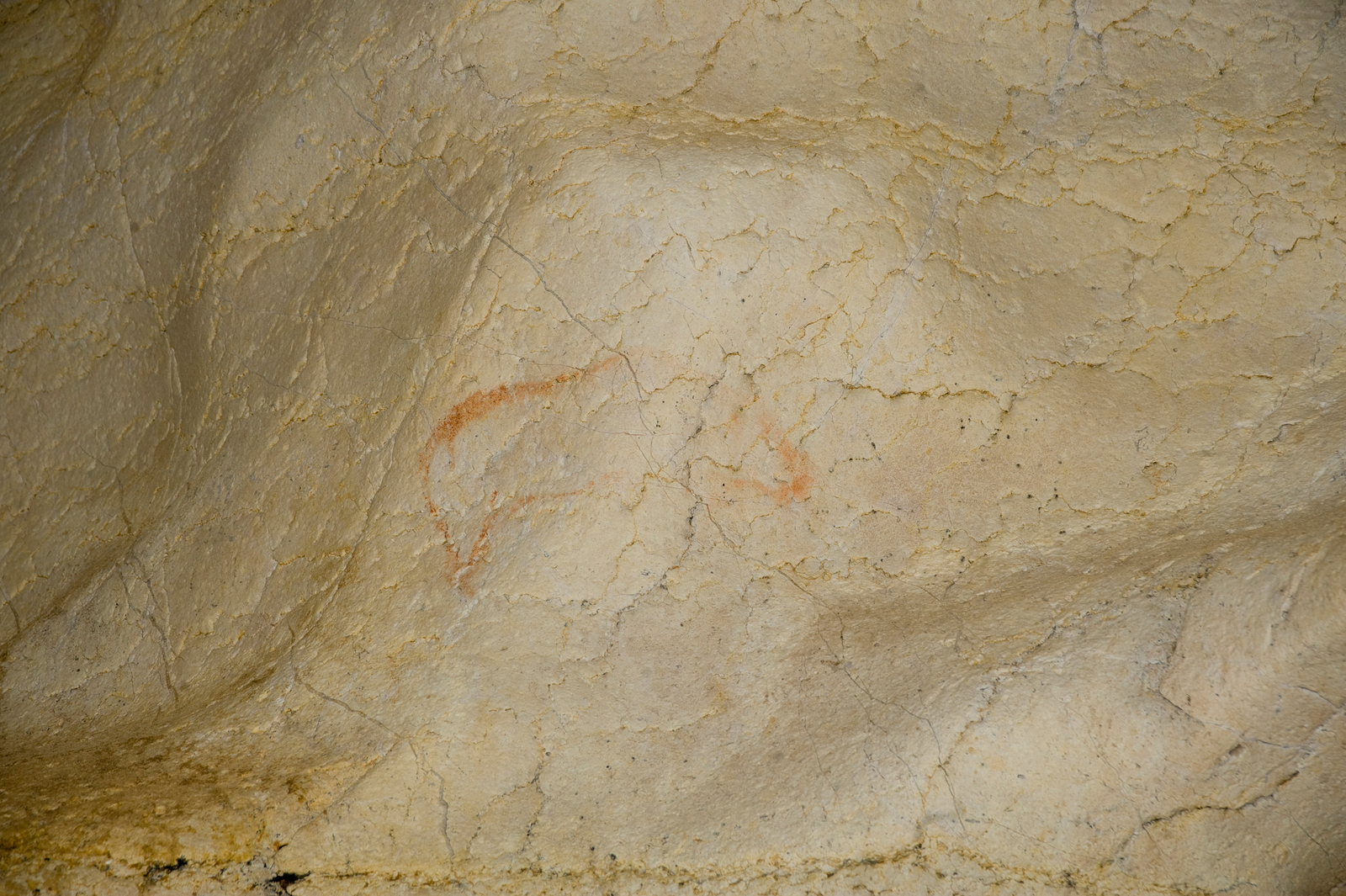 L’ours de gauche, peint en noir