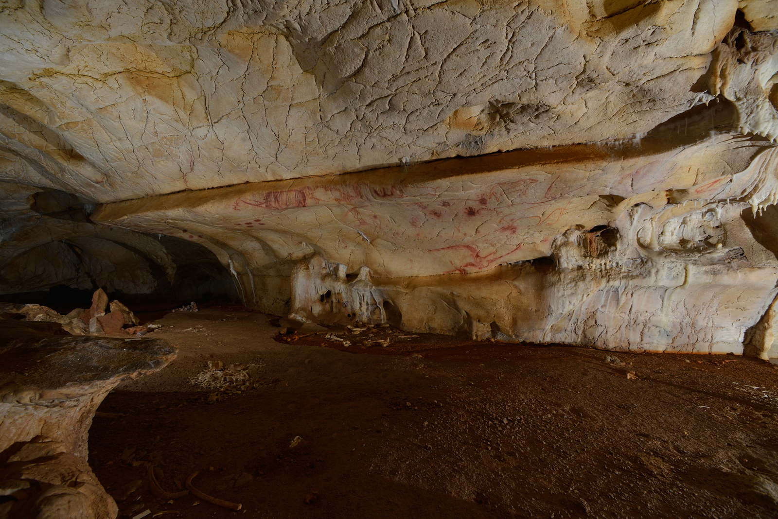Panneau des Mains positives