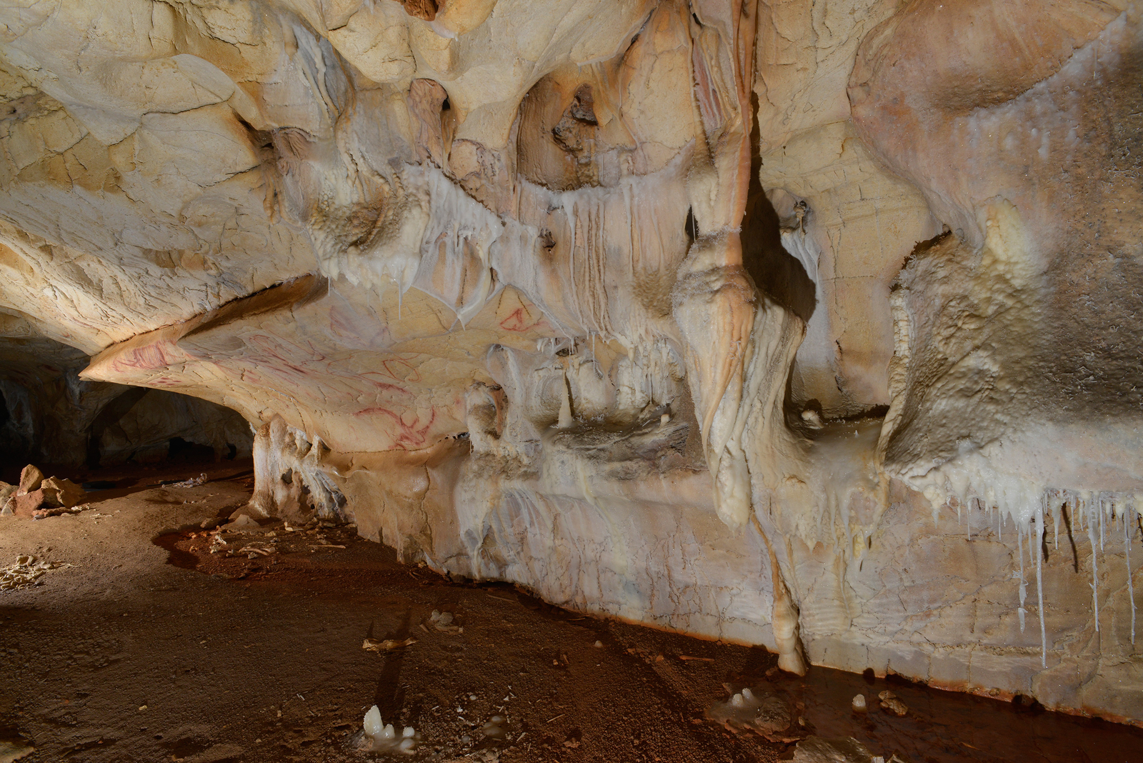 Panneau des Mains positives