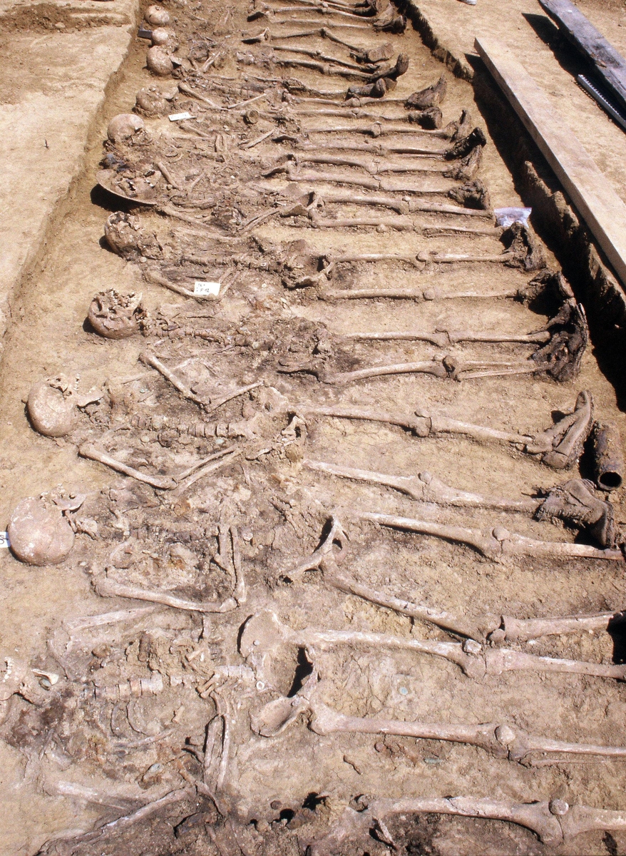 Vue de la fosse contenant les squelettes de 20 soldats britanniques du 10e Lincolnshire Regiment