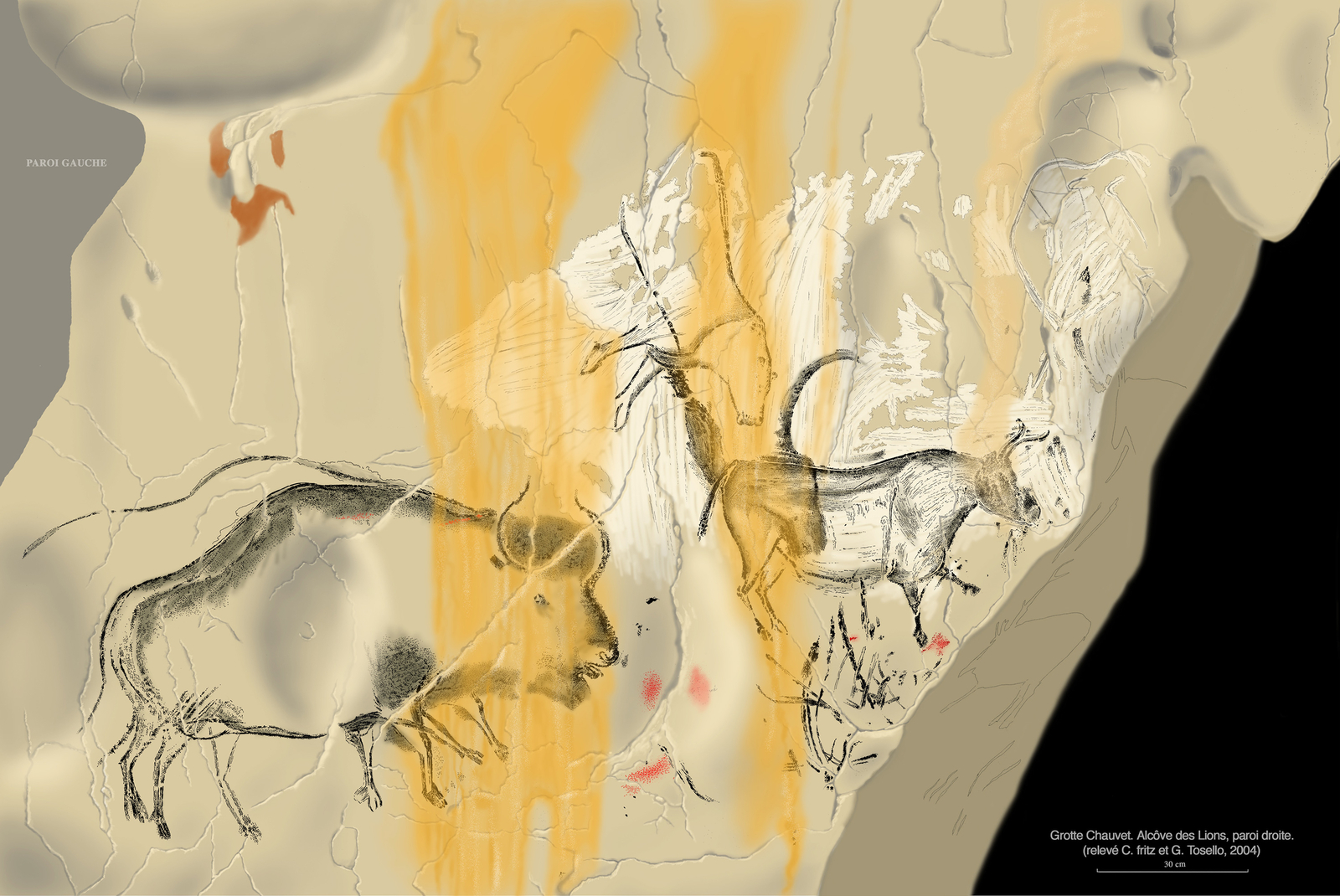 La paroi droite de l’alcôve des Lions