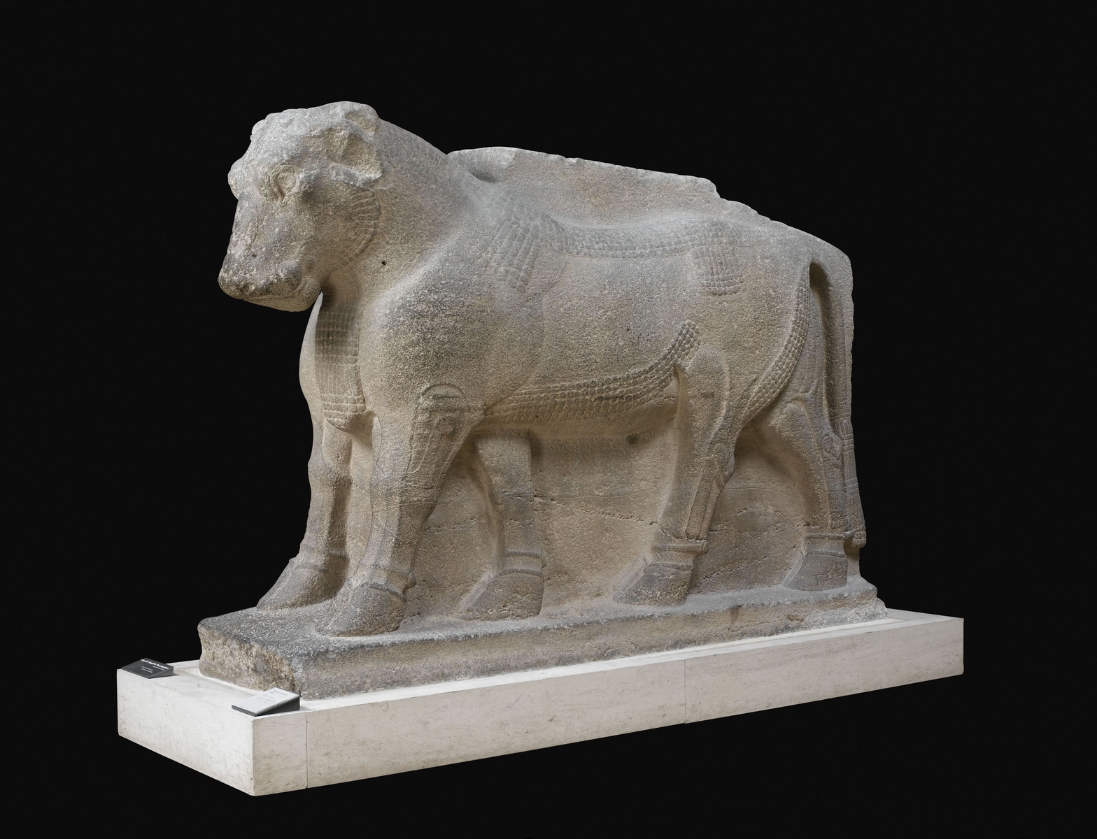 Arslan Tash : statue de taureau gardien en basalte