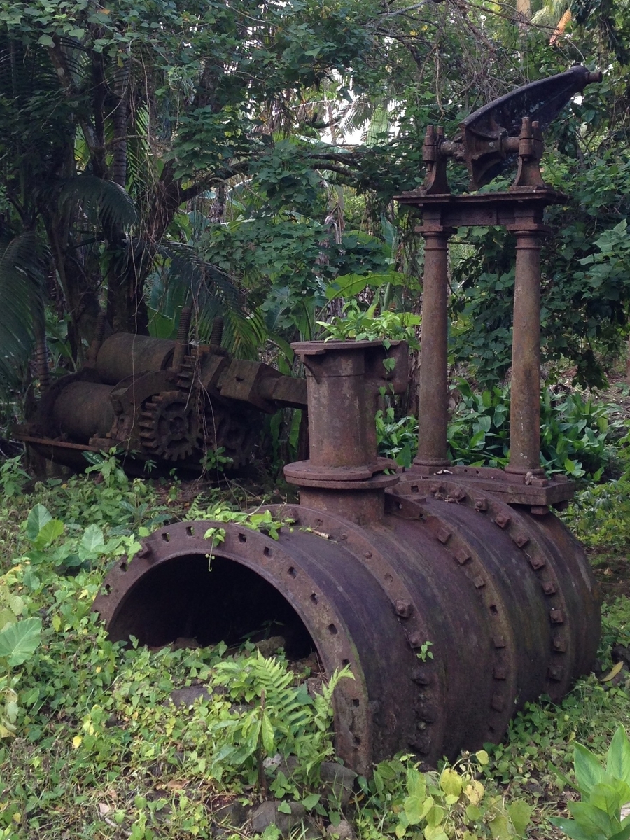 Vestiges industriels (Sainte-Rose, Domaine de la Roseraye, 2015)