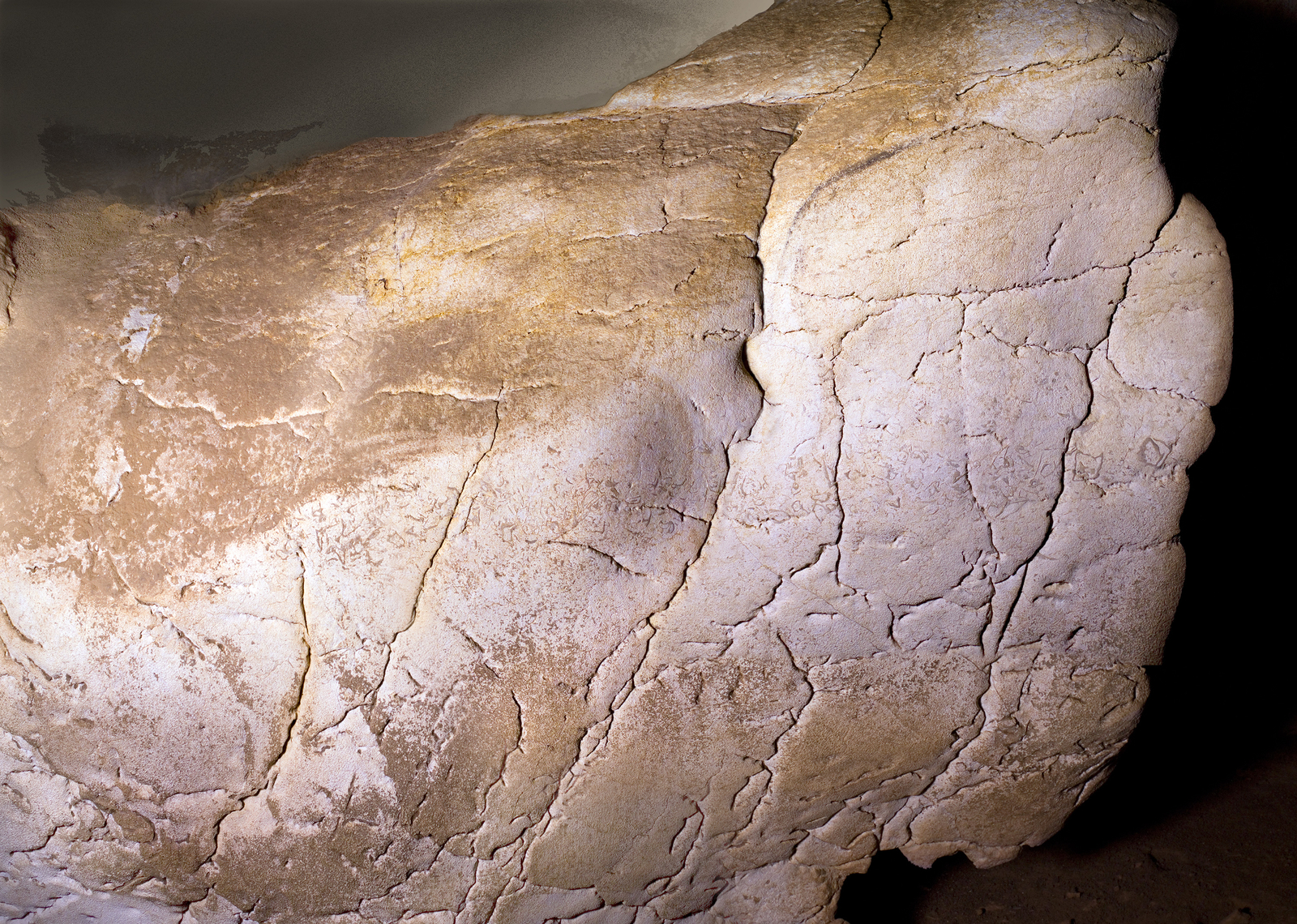 Panneau du Mammouth peint en brun