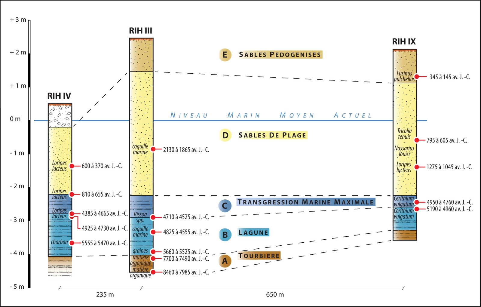 Carottages sédimentaires à Ras Ibn Hani : stratigraphie, chronologie, interprétations
