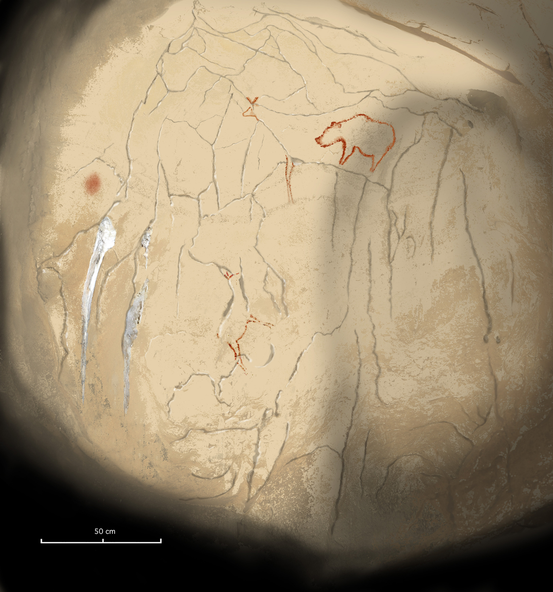 Relevé de la niche au petit Ours