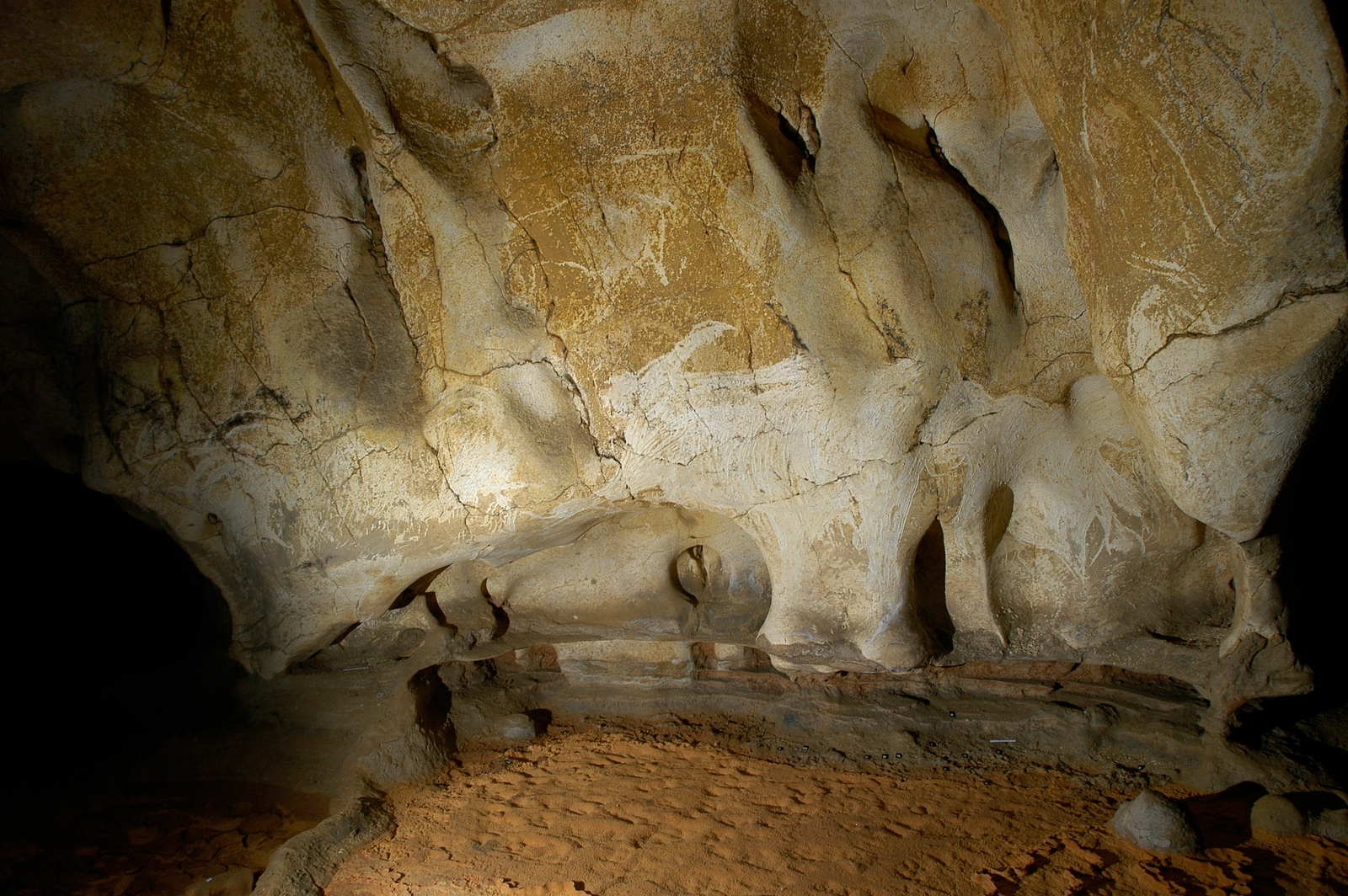 Mammouths raclés de la paroi droite