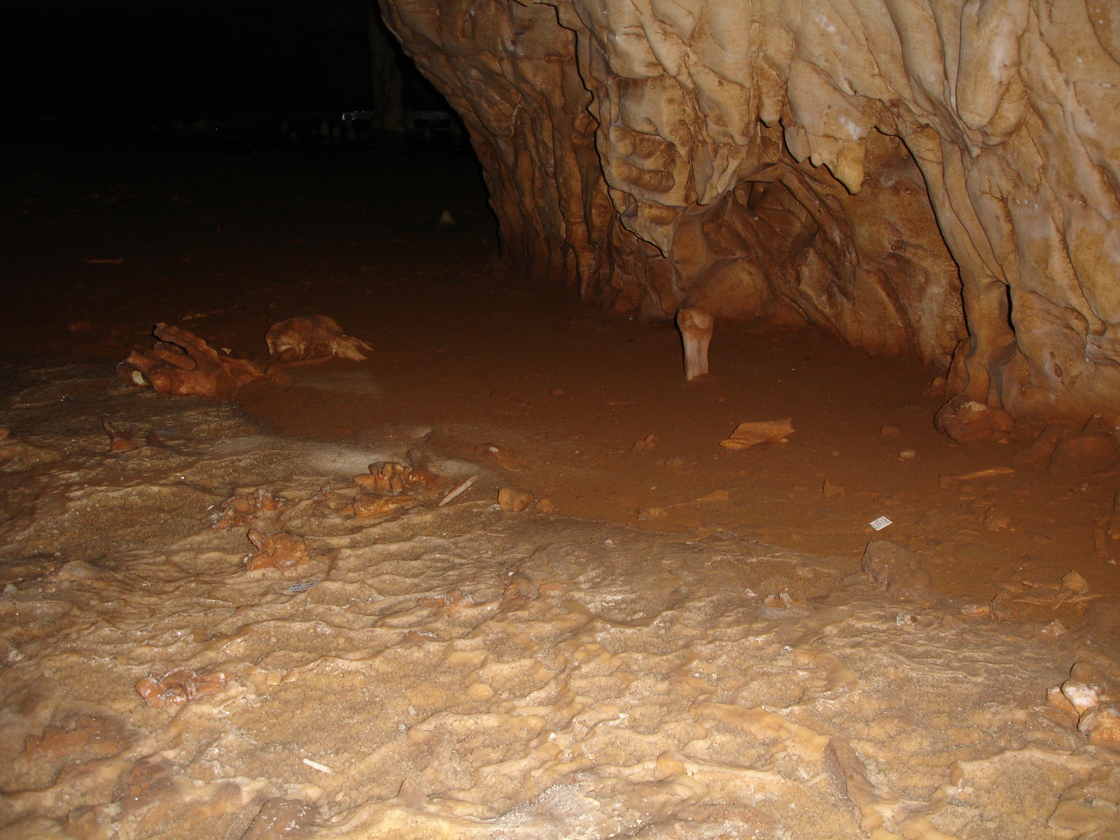  Humérus fiché verticalement dans le sol