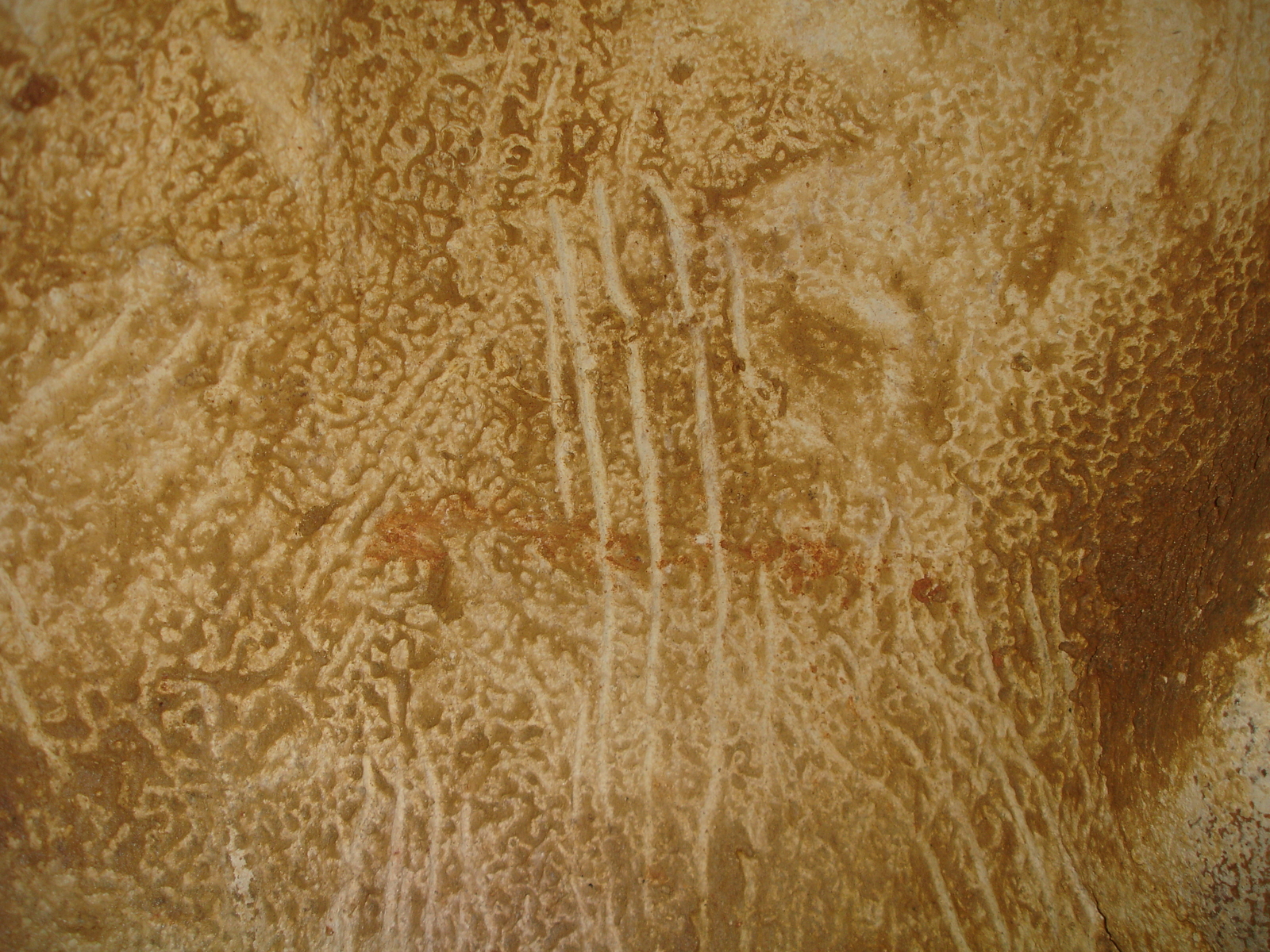 Griffade sur la paroi de la salle Hillaire