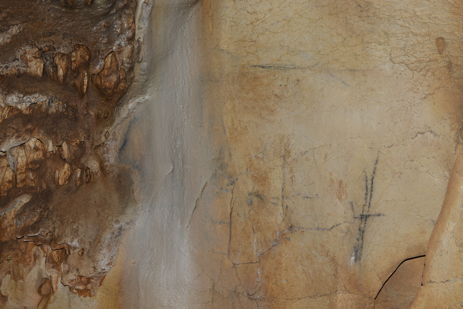 Mammouth et félins noirs