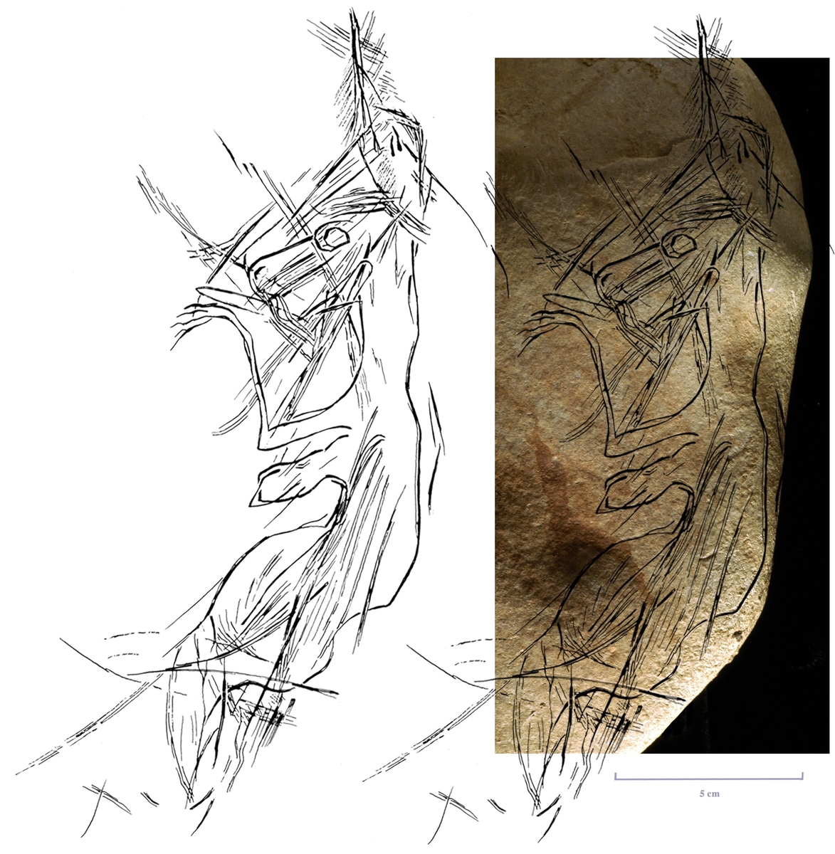 Relevés de la créature derrière le cheval sur le recto du galet