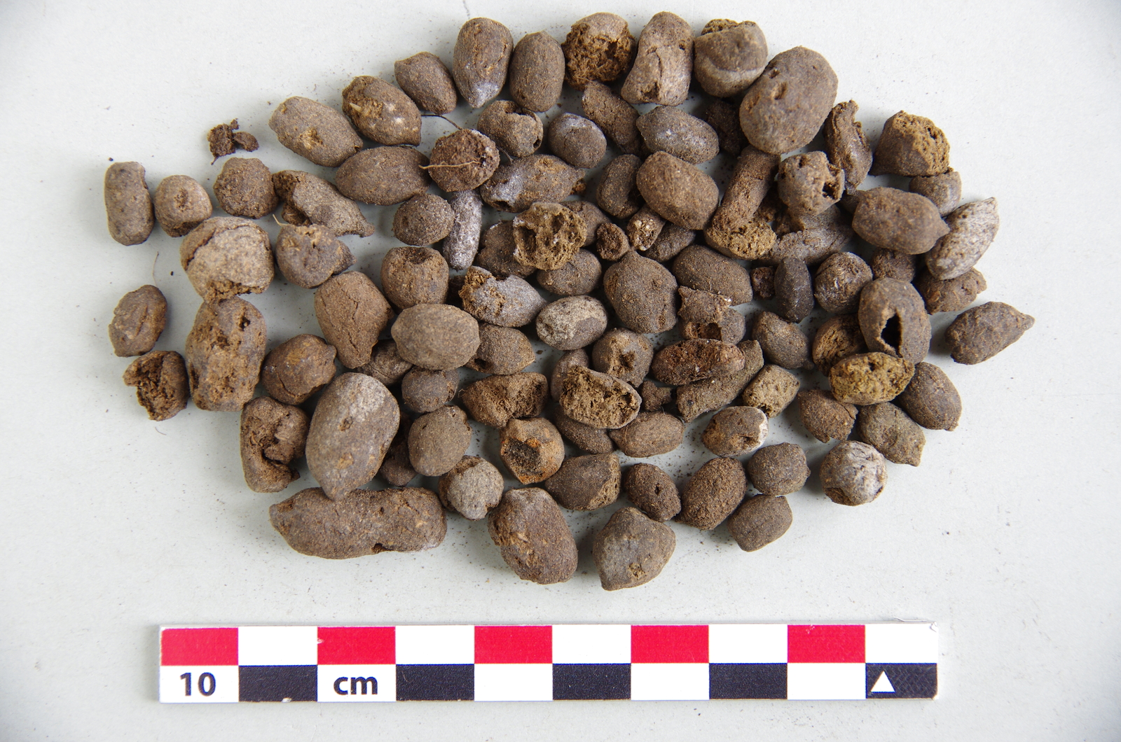 Dried dung (Saint-Joseph, Caverne Lépinay)