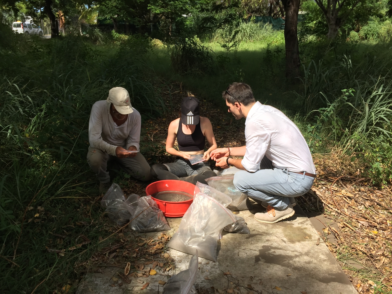 Tamisage (Saint-Paul, Route des premiers Français, 2018)