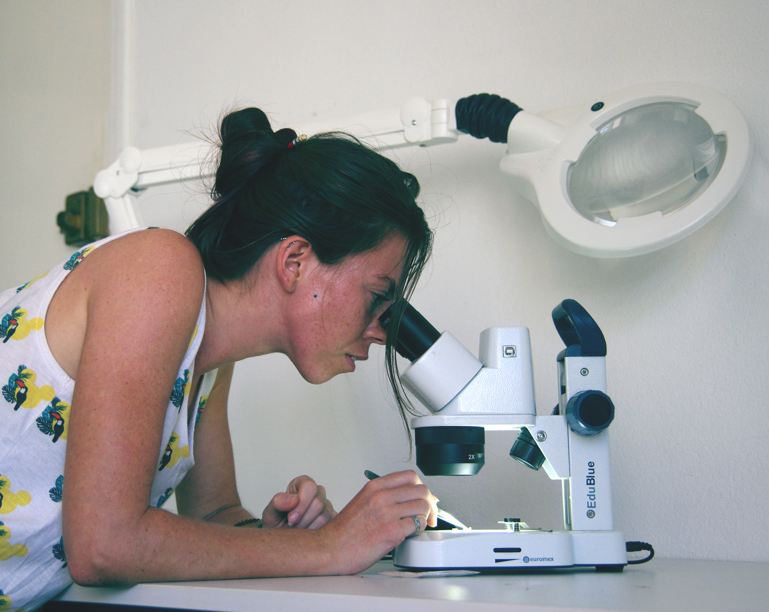 Archaeobotanics: survey methodology