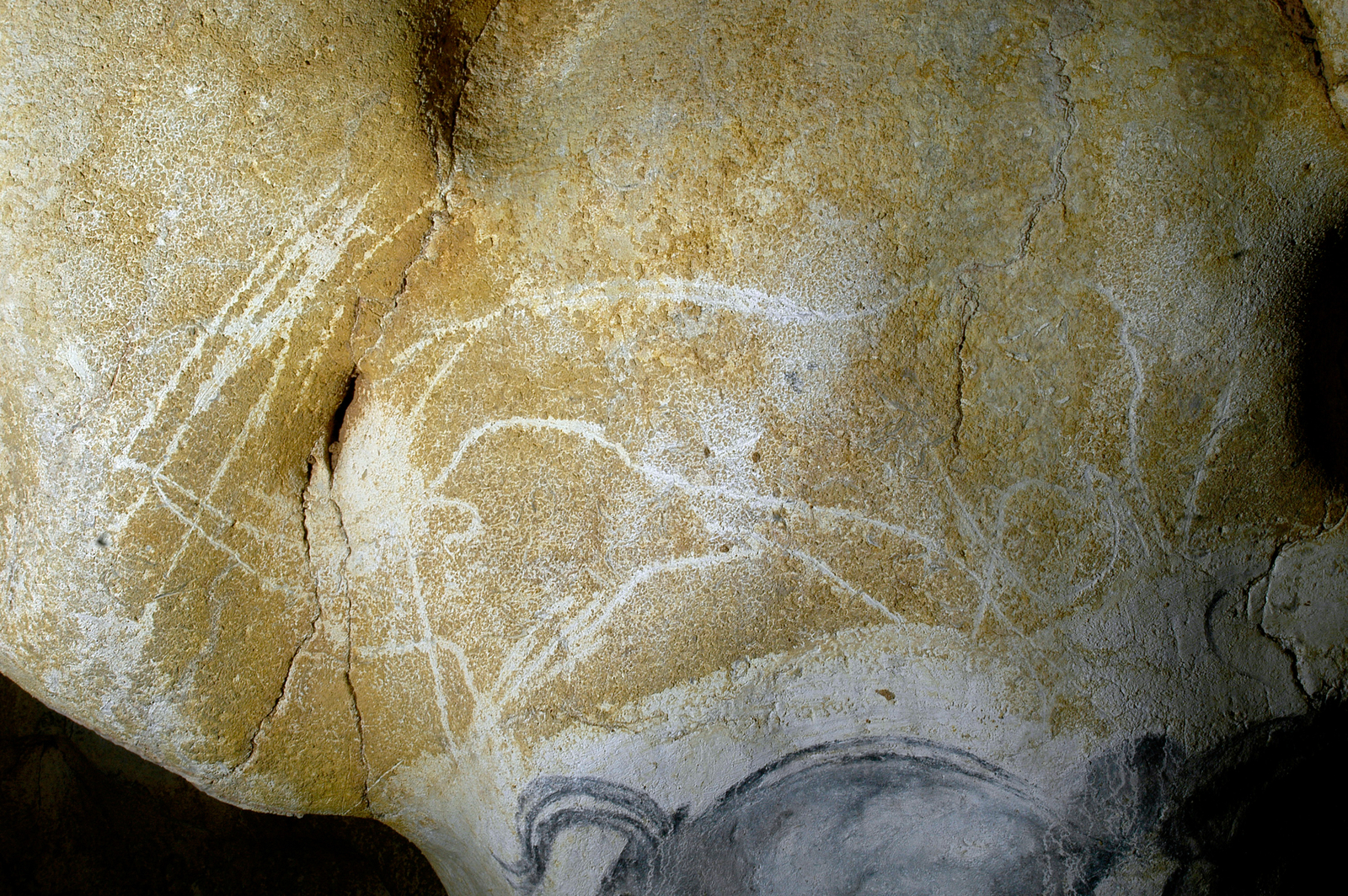 Grande gravure supérieure du panneau des Chevaux