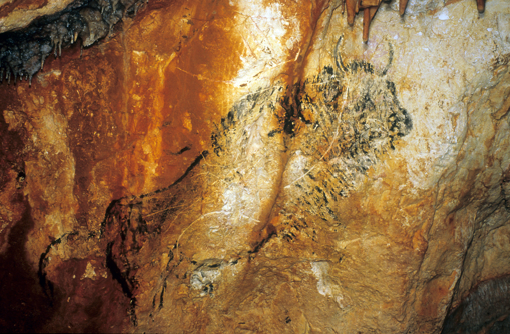 Représentation d'un bison dans la grotte Cosquer