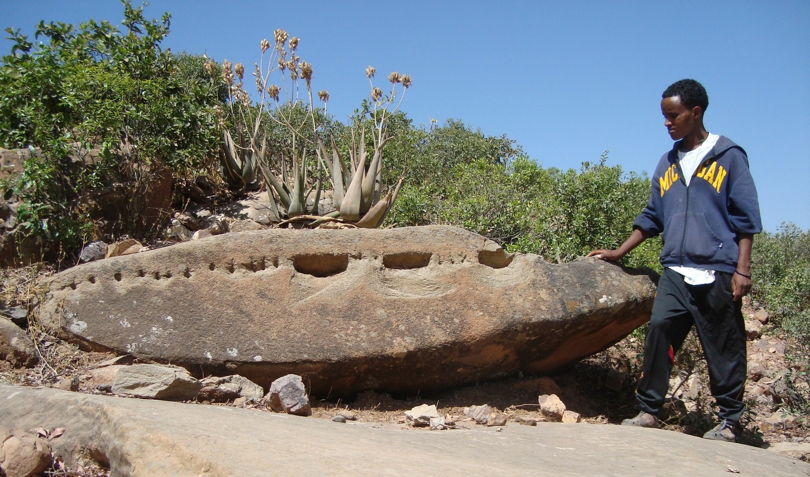 Blocs présentant des emboîtures