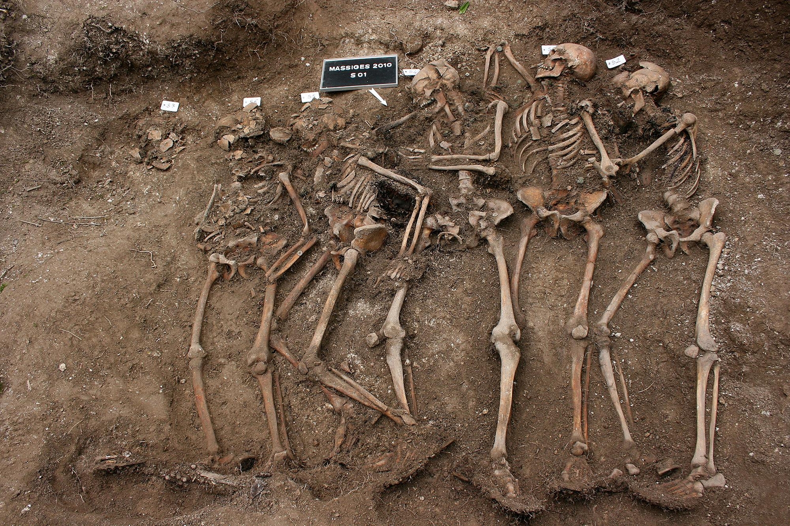 Squelettes de six soldats allemands 