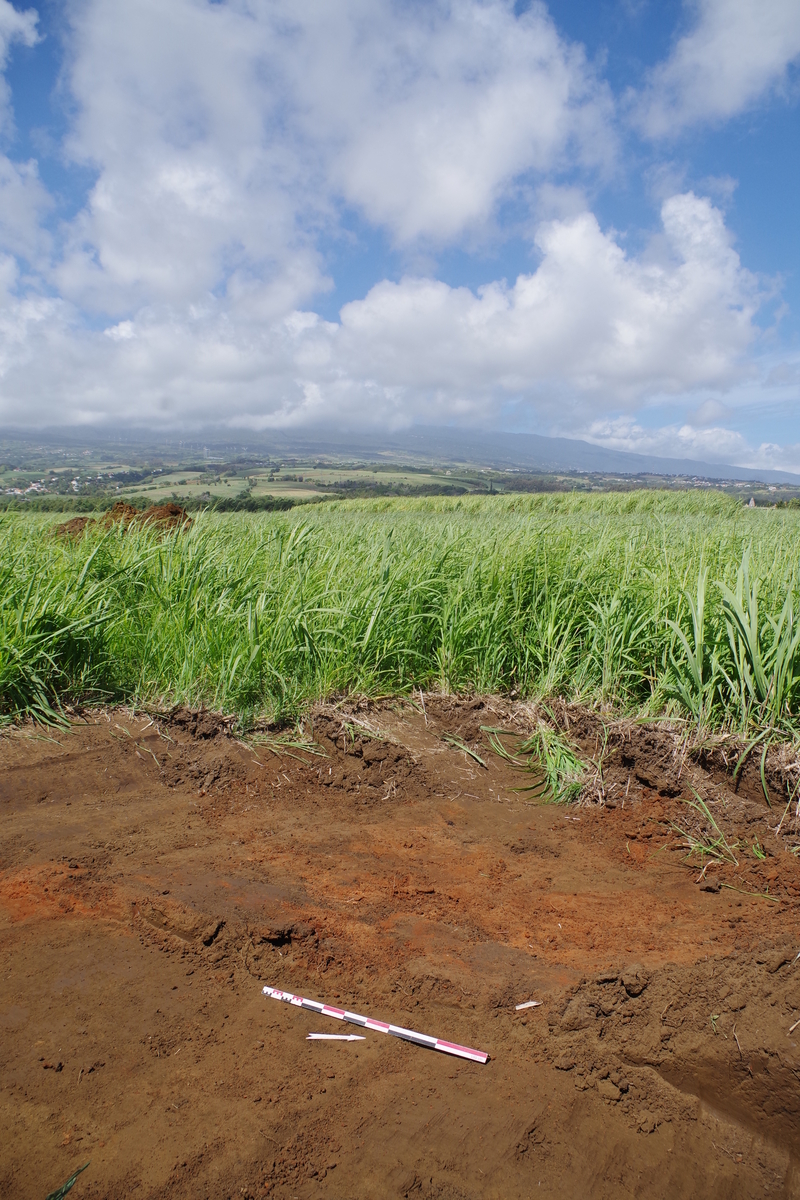 Remains of an area of fire (Saint-André, Bois-Rouge, 2020)