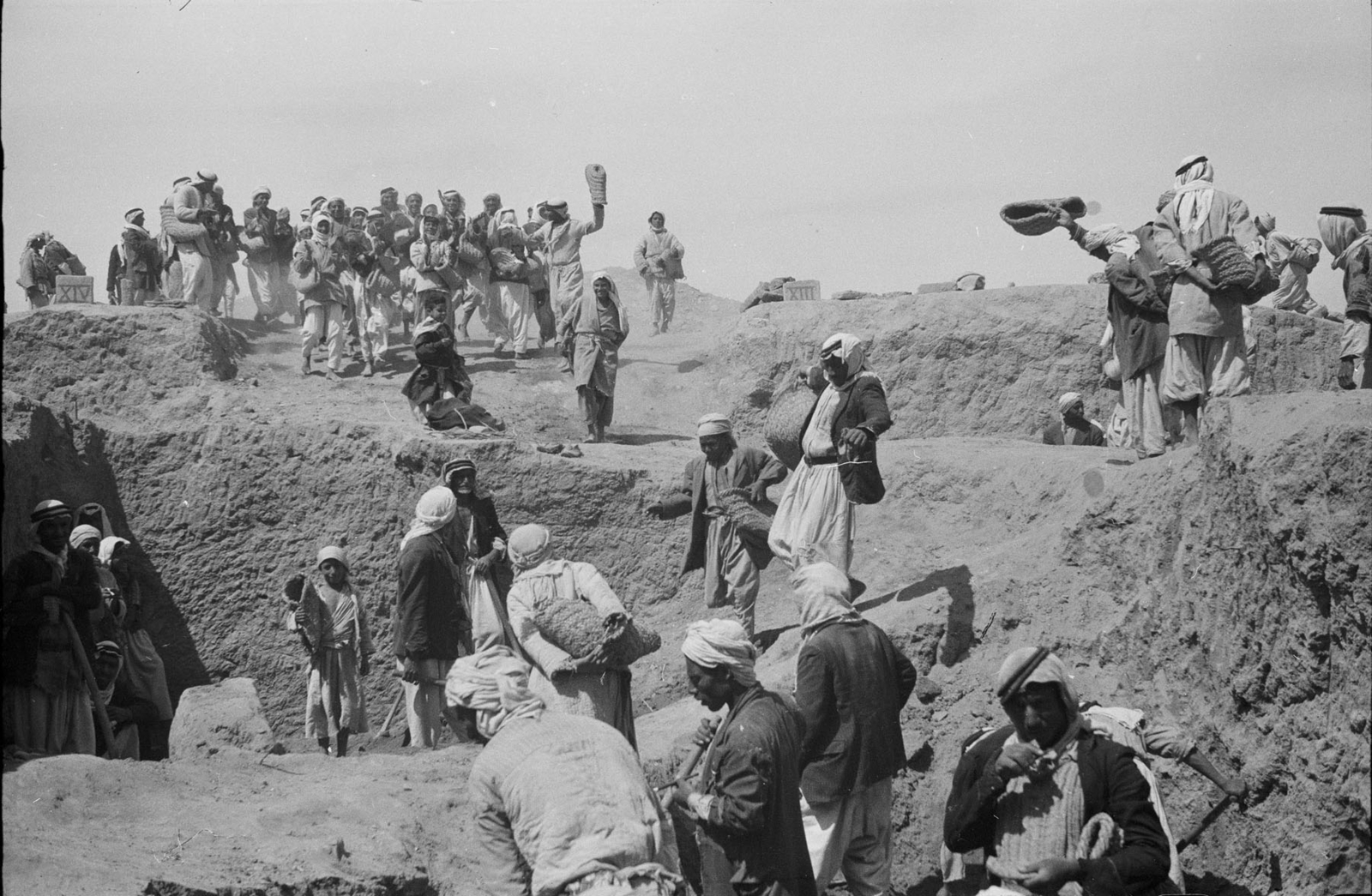 Ouvriers à Nimrud