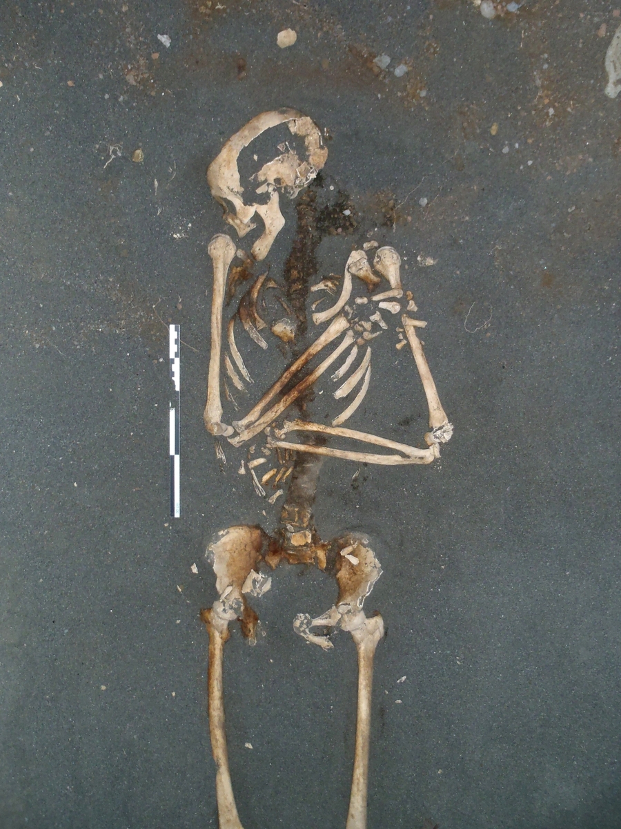 Squelette (Saint-Paul, Cimetière Marin, 2011)