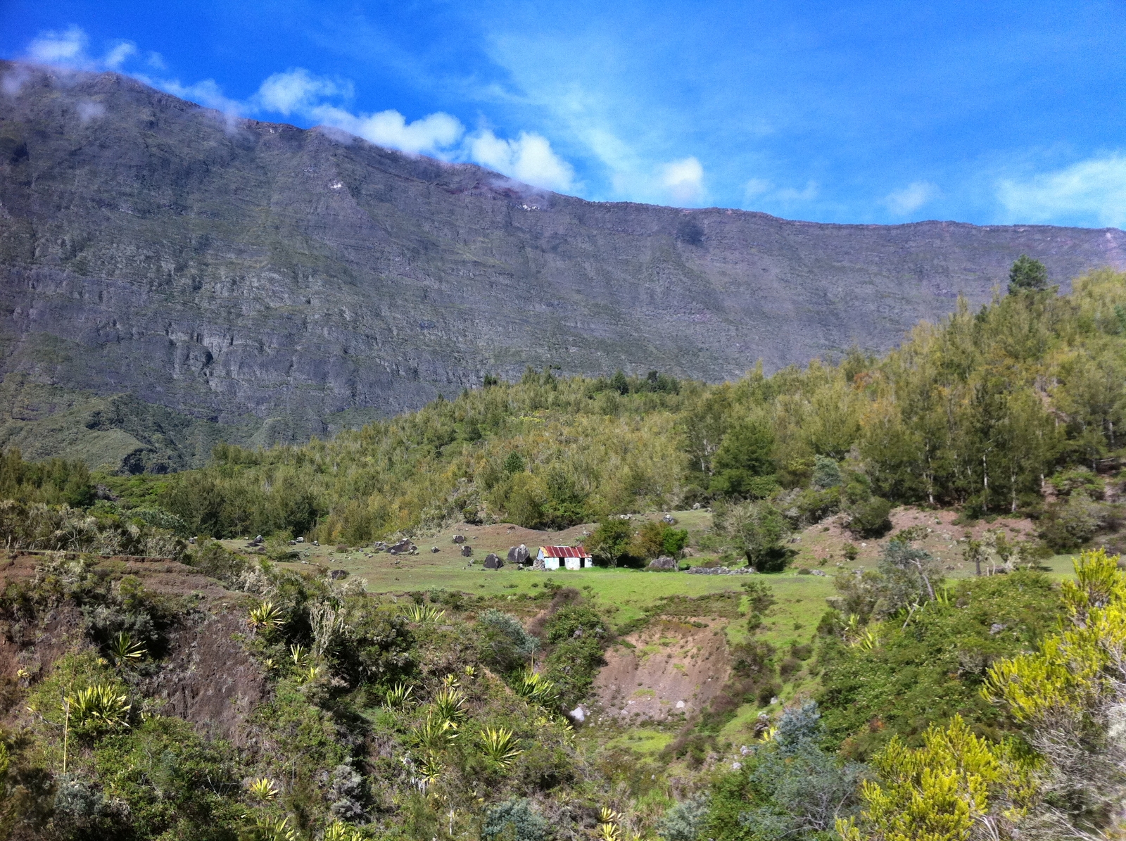 General view (Saint-Paul, Plaine-aux-sables)