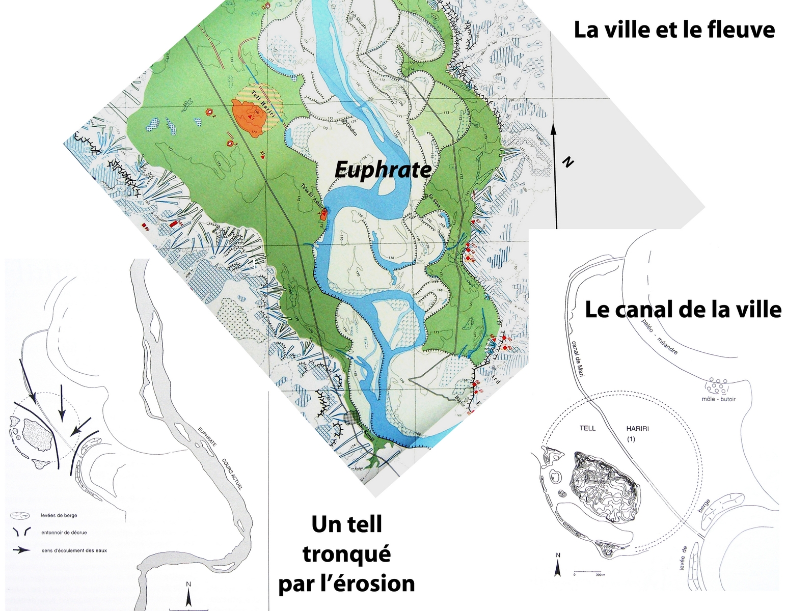 Le site et son environnement