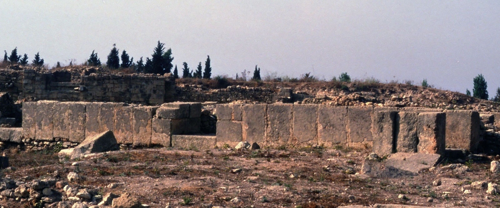 Les orthostates recouvertes de bitume du Palais Nord