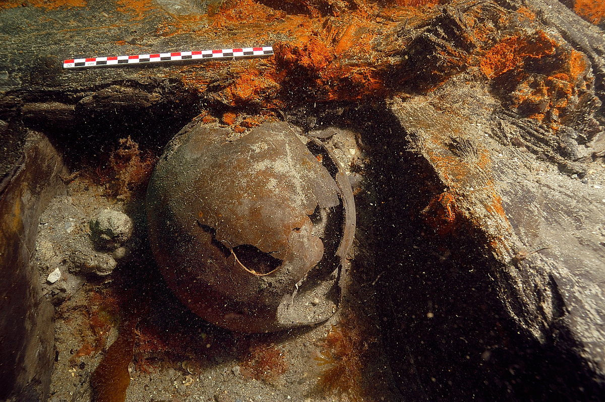 Photographie sous-marine d'une calebasse