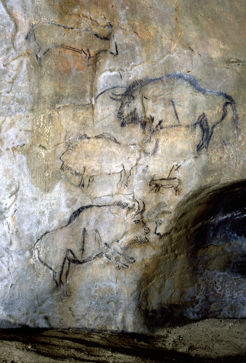 Paroi de la grotte de Niaux (Ardèche)