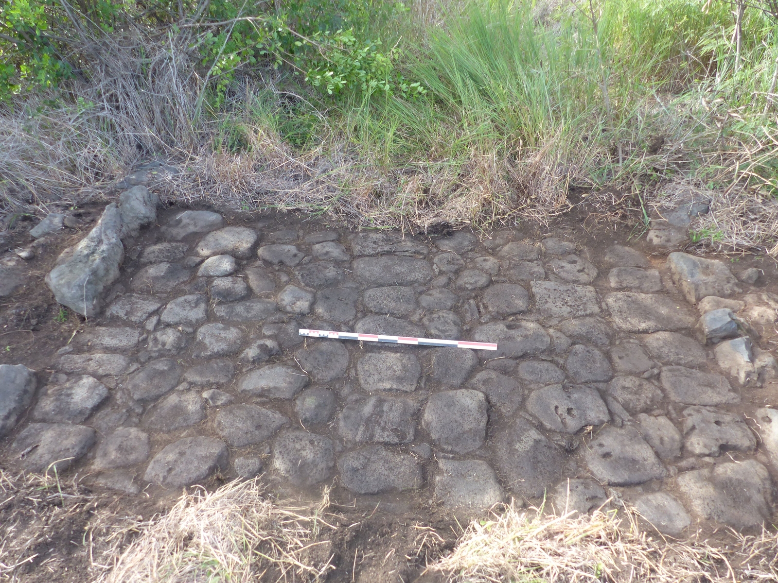 Sondage (Saint-Paul, Chemin de Bernica, 2020)