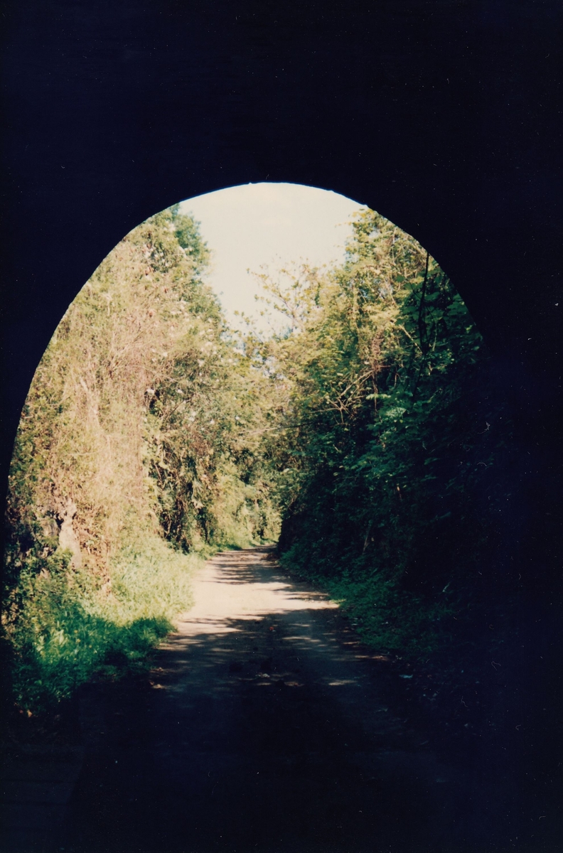 Tunnel et tranchée ferroviaire (Sainte-Suzanne, Tunnel de Bel Air, 2013)