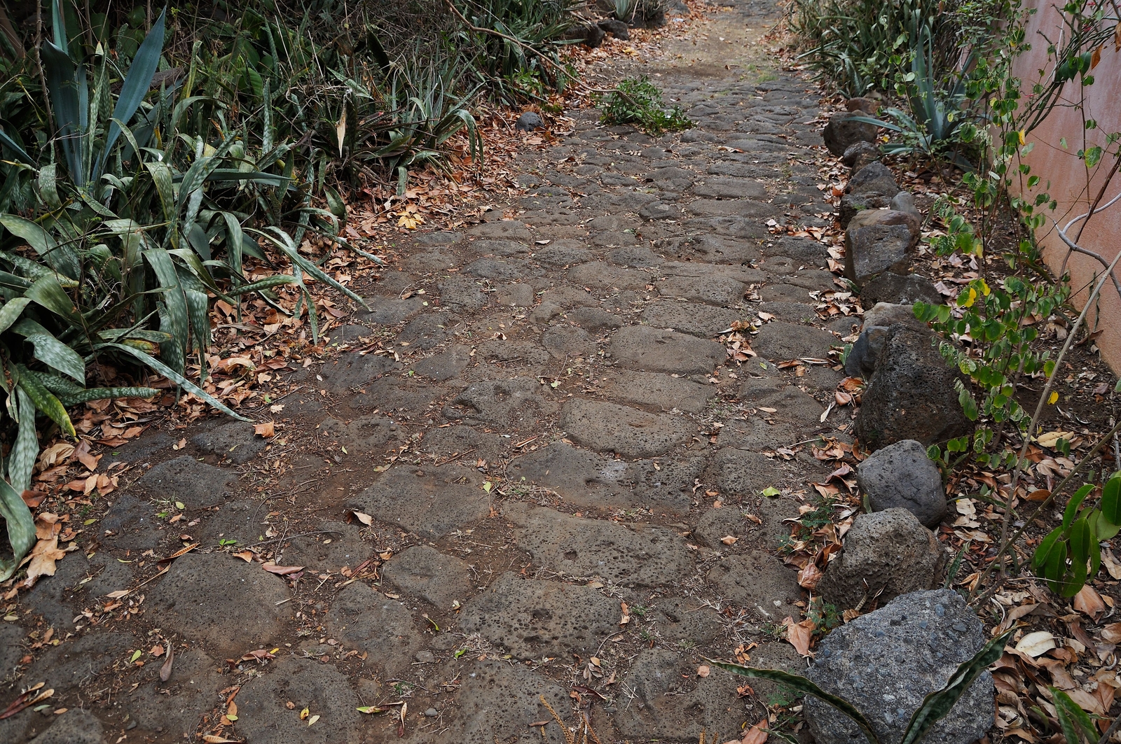 Village de Plateau-Caillou (Saint-Paul, Chemin de Bernica, 2016)