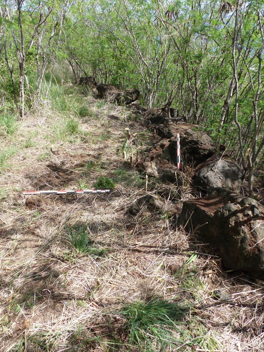 Roadway (Saint-Leu, Ravine du Trou, 2019)
