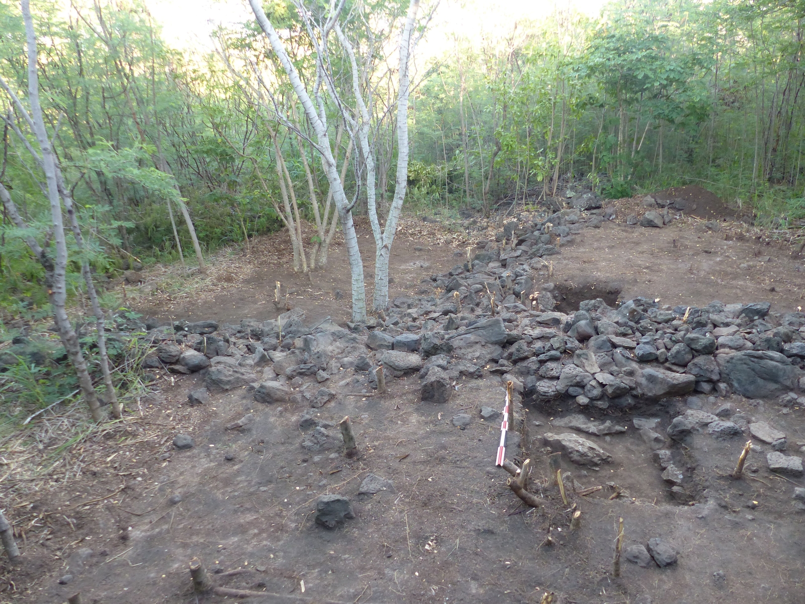 Building remains, Area 2 (Saint-Leu, Ravine du Trou, 2019)