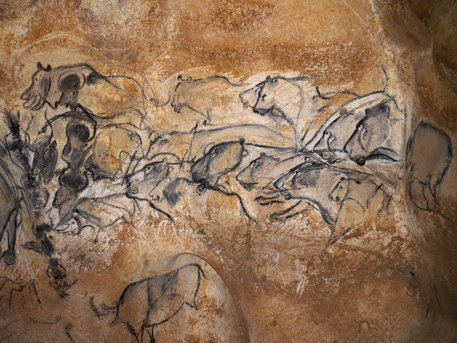 Panneau des lions