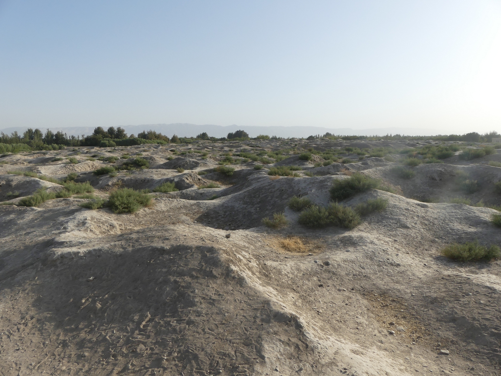 Tepe Zargaran, large-scale surface looting, state in 2016. Afghanistan