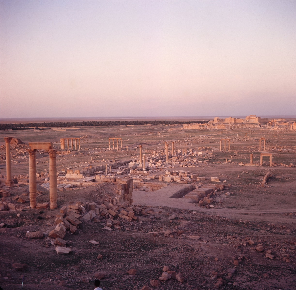Palmyre, vue de la ville d'époque romaine
