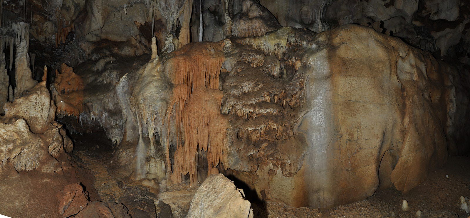 Panneau du mammouth noir