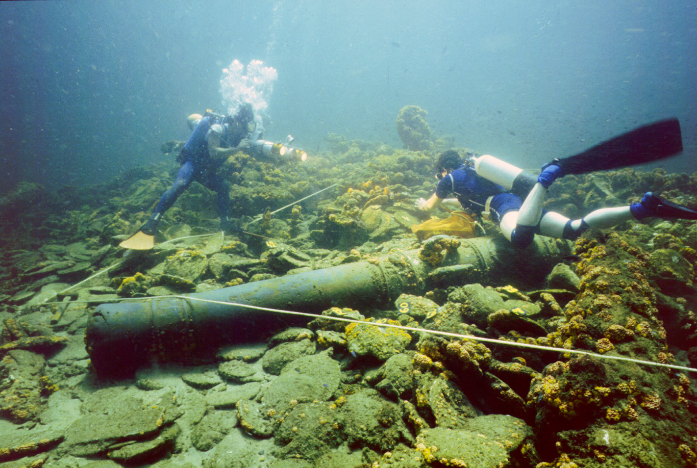 Photographie d'un canon sous l'eau