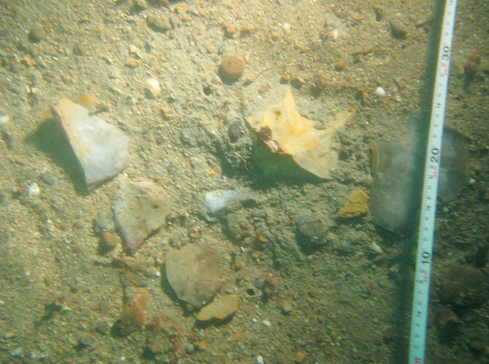 Photographie de vestiges au sol à Biéroc