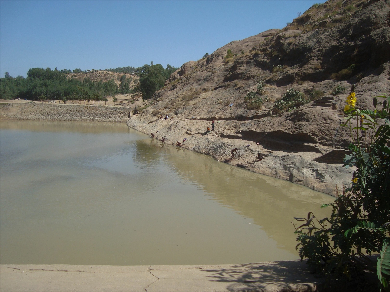 Le bassin de May Shum