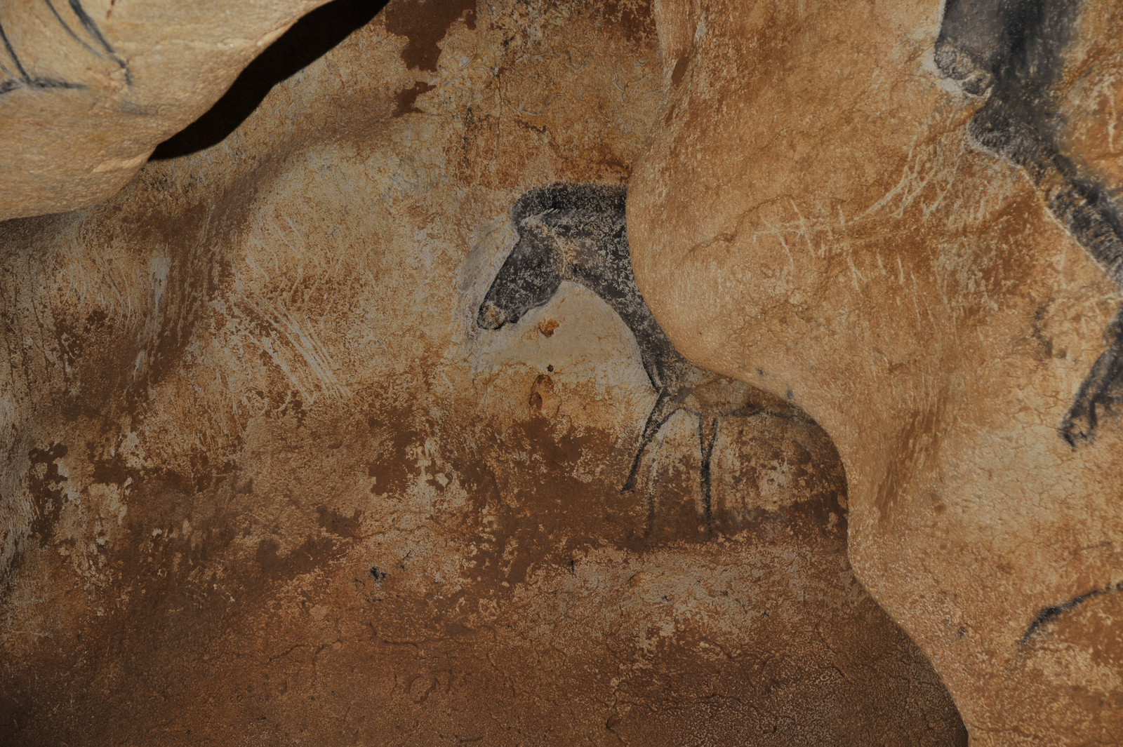 Le Cheval du Passage