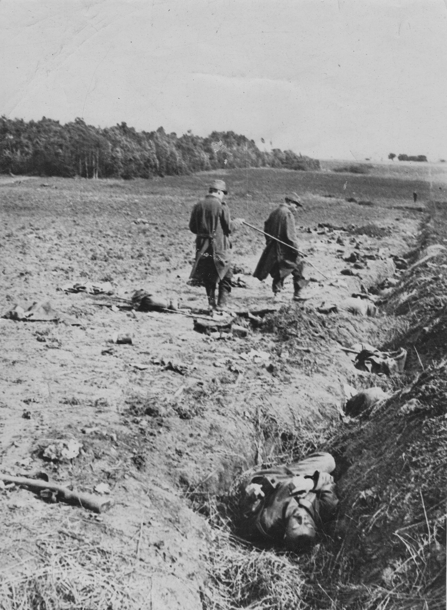 À l'issue de la Bataille de la Marne deux soldats français regardent les corps de soldats allemands