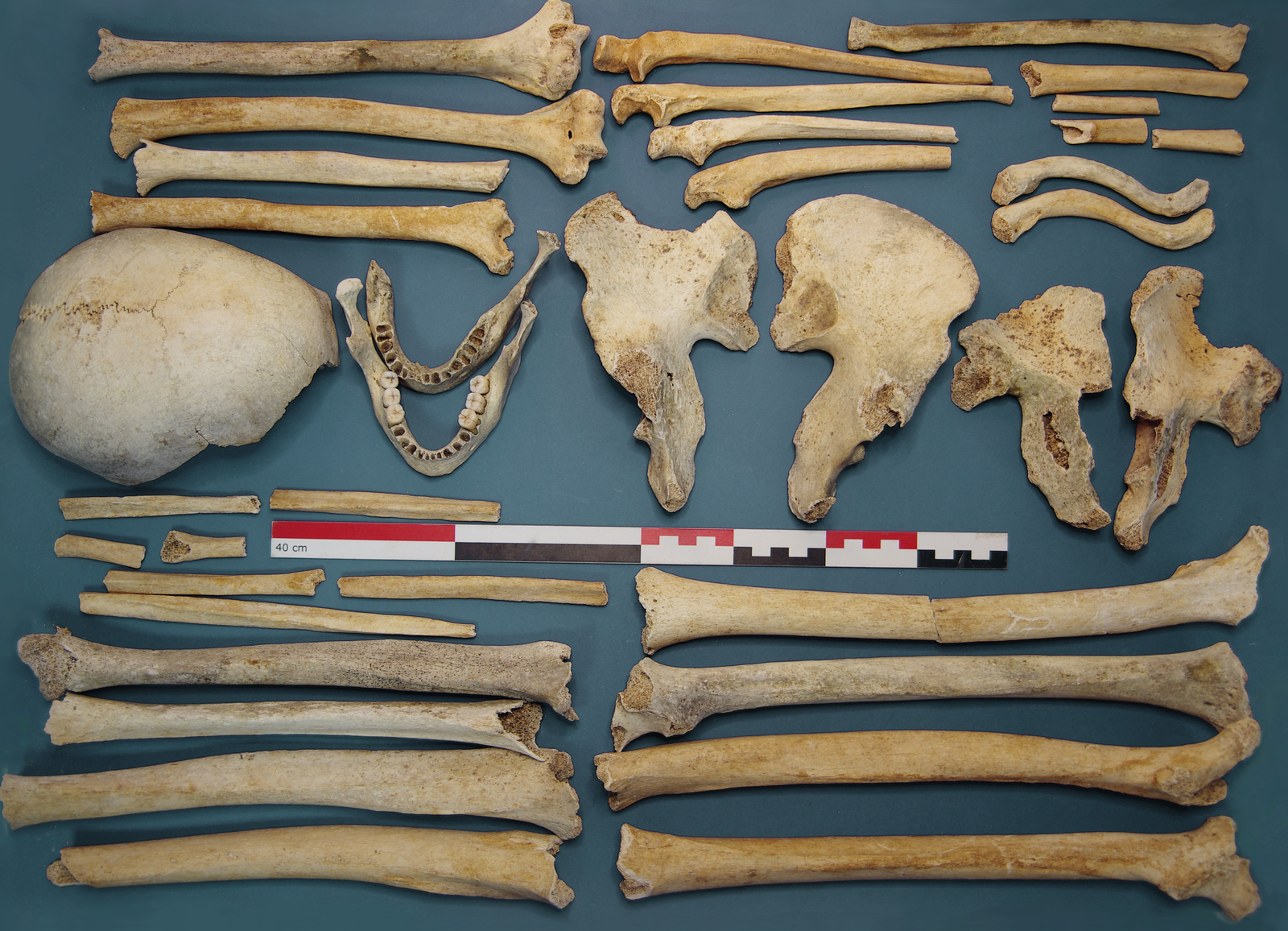 Bones in Shelter II (Cilaos, Tapcal Forest)