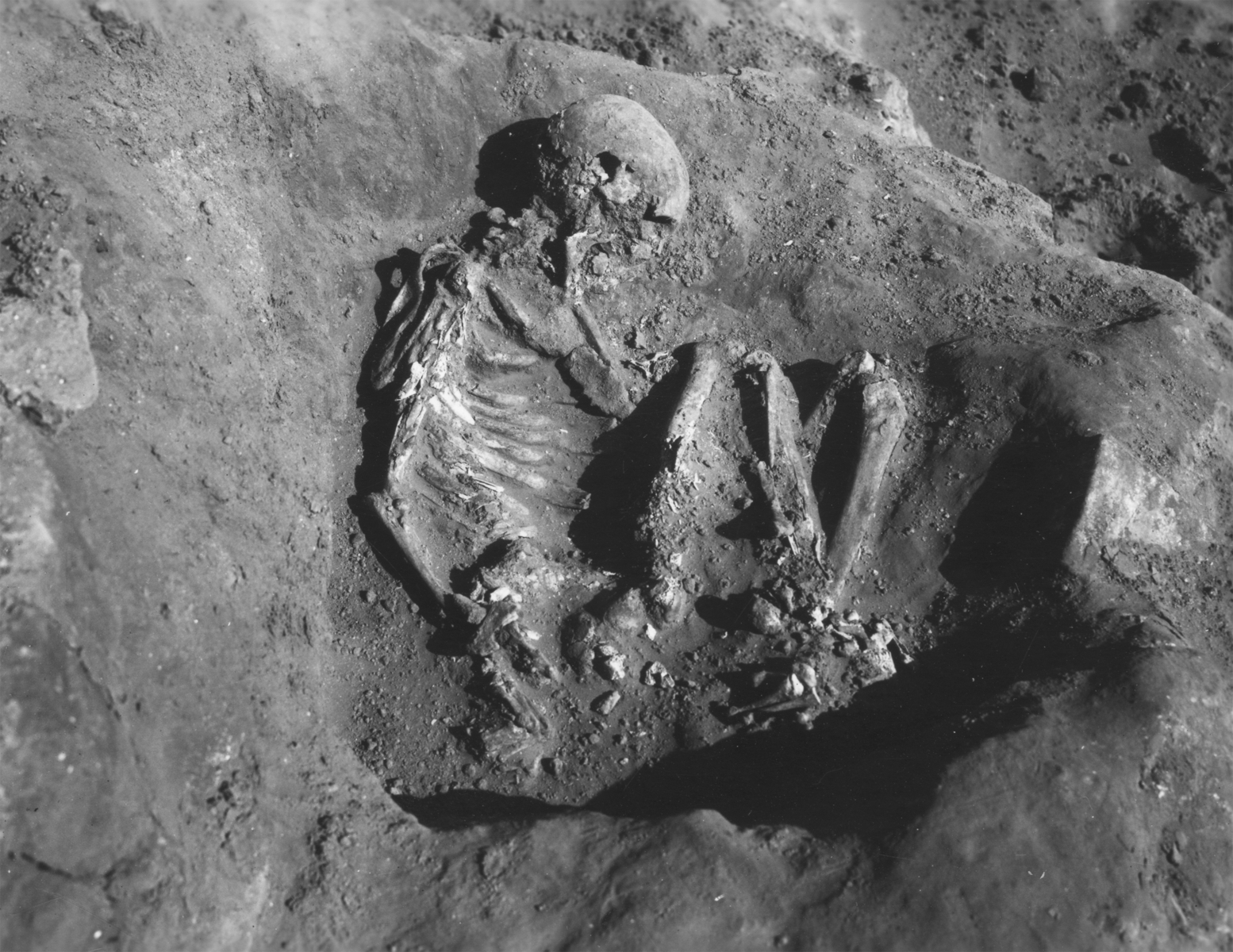 Tombe en pleine terre. © Mission Archéologique française de Larsa, ARCH. MAE, THM799_AP551