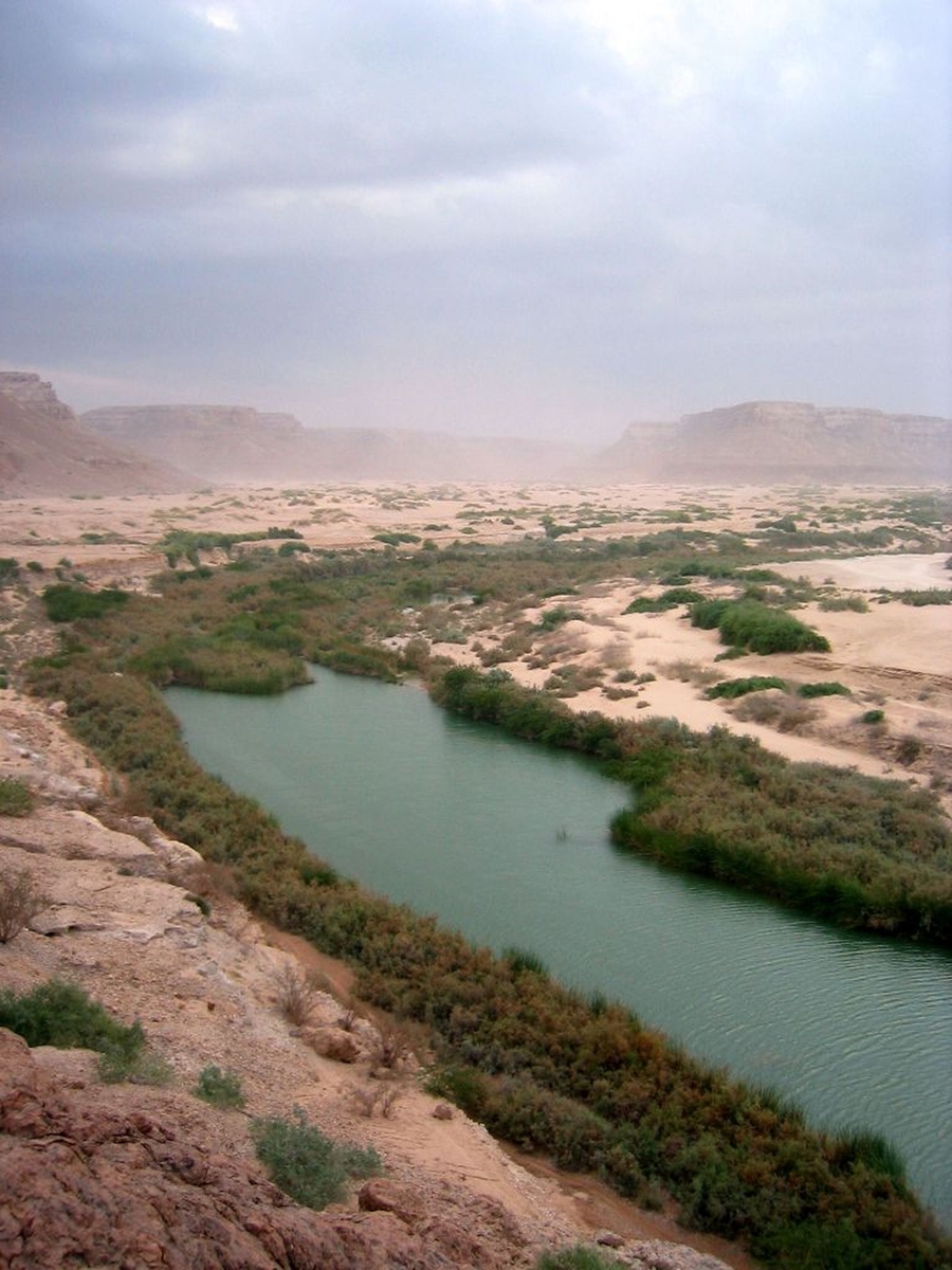 Wâdî Masîla (Hadramawt), unique cours d'eau pérenne des basses terres du Yémen