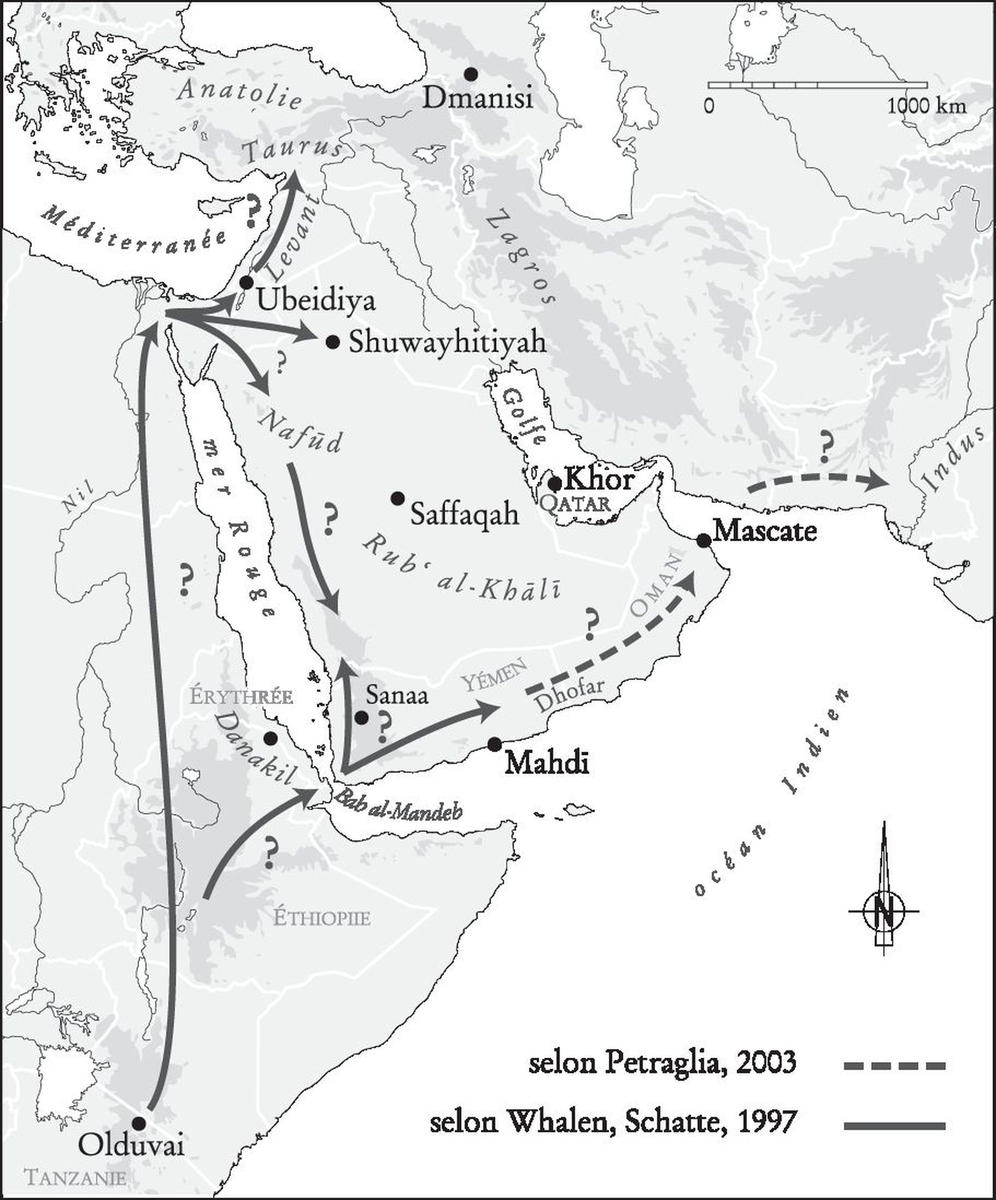 Migrations du genre Homo au Paléolithique moyen